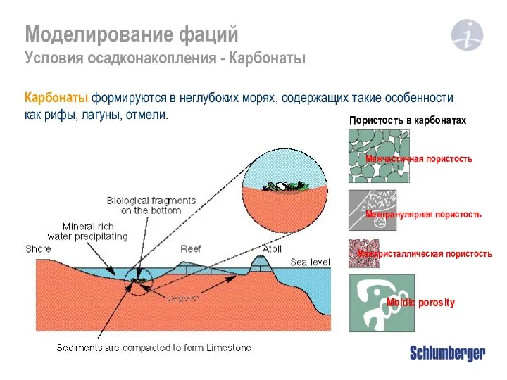 Моделирование фаций Условия осадконакопления - Карбонаты Карбонаты формируются в неглубоких морях,