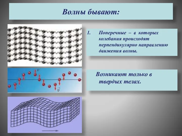 Волны бывают: Возникают только в твердых телах. Поперечные – в которых