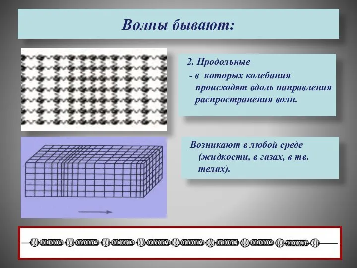 Волны бывают: 2. Продольные - в которых колебания происходят вдоль направления