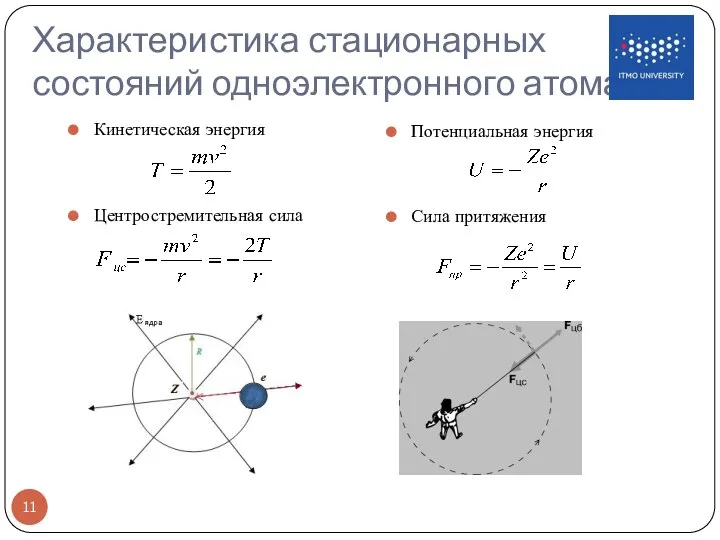 Характеристика стационарных состояний одноэлектронного атома Кинетическая энергия Потенциальная энергия Центростремительная сила Сила притяжения