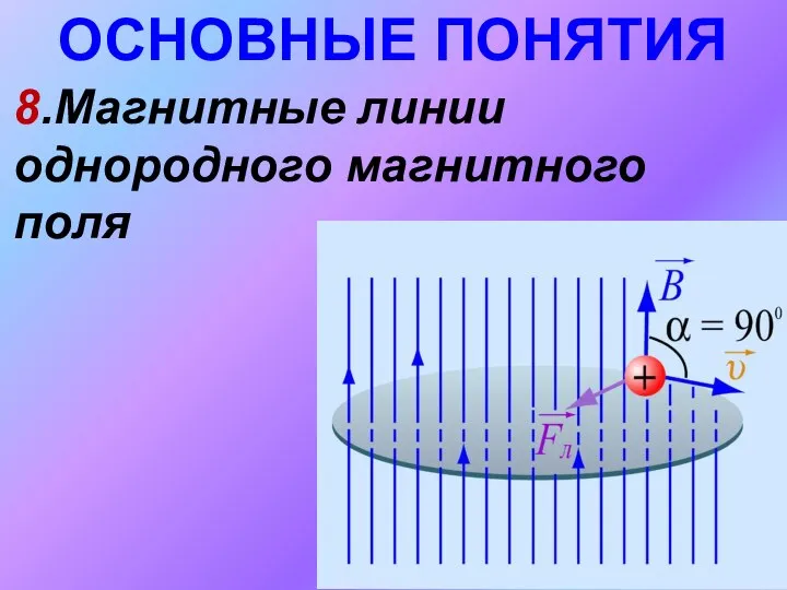 ОСНОВНЫЕ ПОНЯТИЯ 8.Магнитные линии однородного магнитного поля