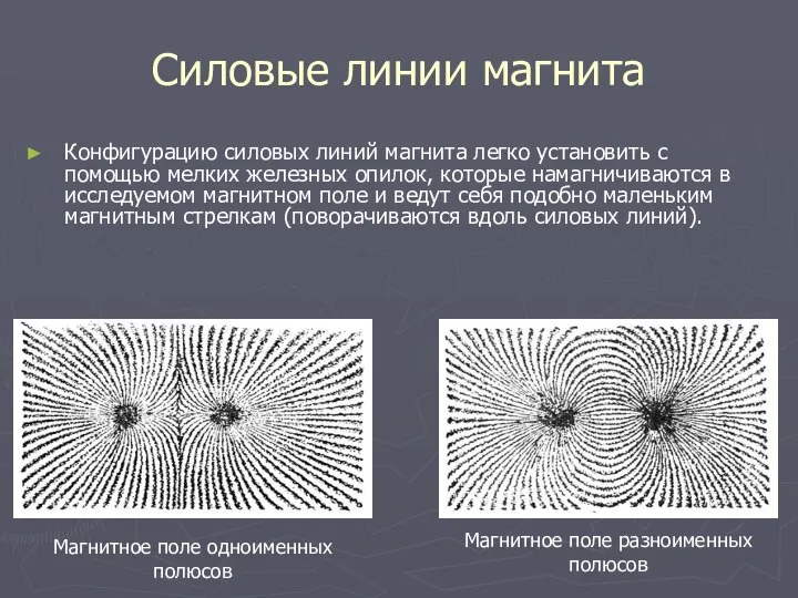 Силовые линии магнита Конфигурацию силовых линий магнита легко установить с помощью