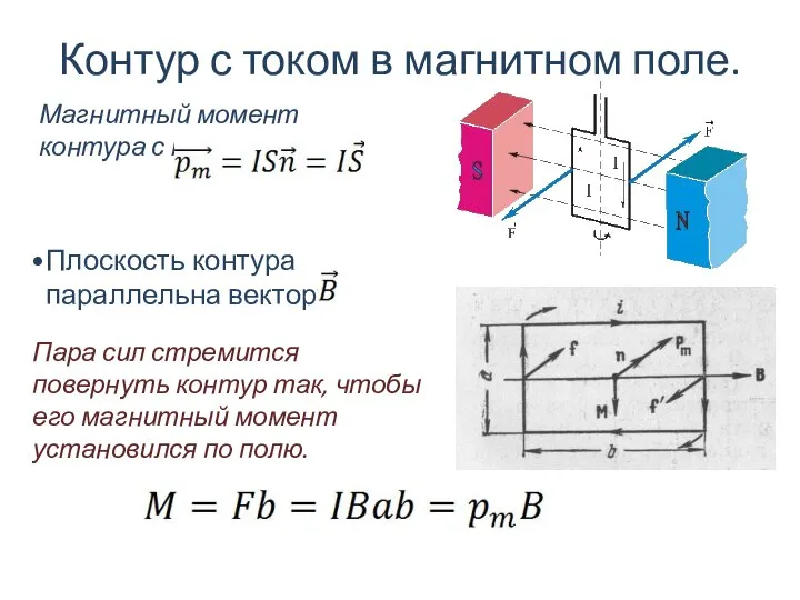 Контур с током в магнитном поле. Магнитный момент контура с током.