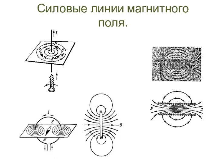 Силовые линии магнитного поля.