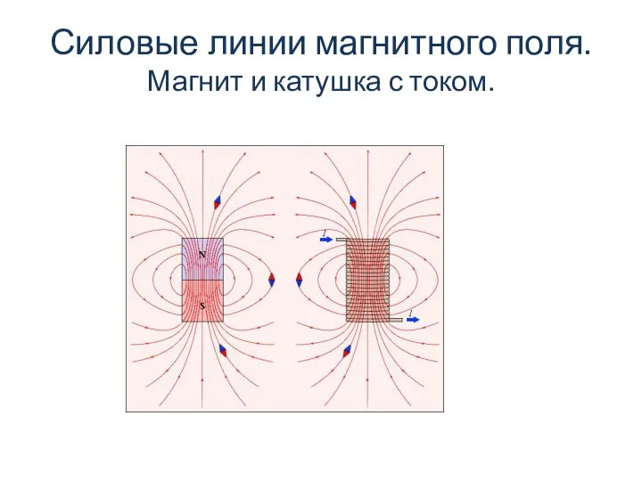 Силовые линии магнитного поля. Магнит и катушка с током.