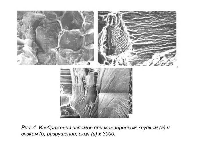 Рис. 4. Изображения изломов при межзеренном хрупком (а) и вязком (б) разрушении; скол (в) х 3000.