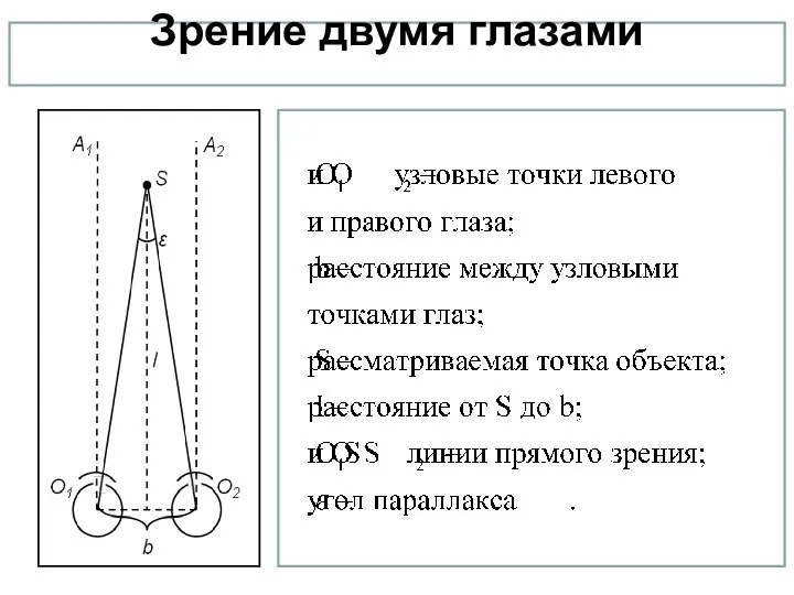 Зрение двумя глазами