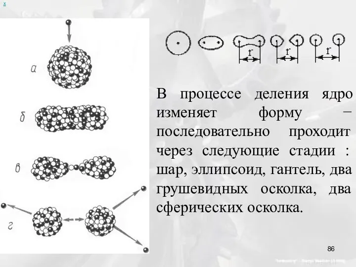 х В процессе деления ядро изменяет форму − последовательно проходит через