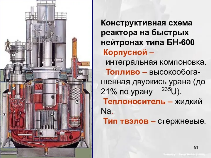 Конструктивная схема реактора на быстрых нейтронах типа БН-600 Корпусной – интегральная