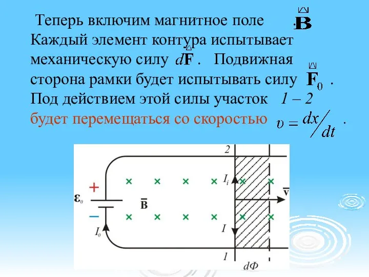 Теперь включим магнитное поле . Каждый элемент контура испытывает механическую силу