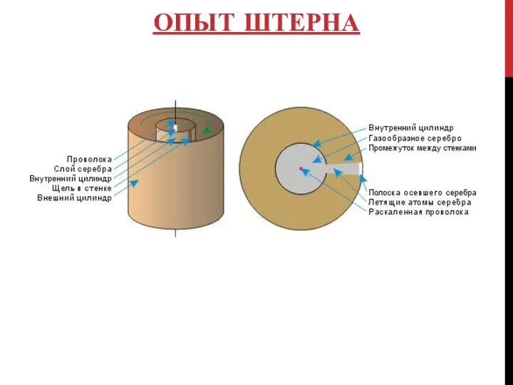 ОПЫТ ШТЕРНА