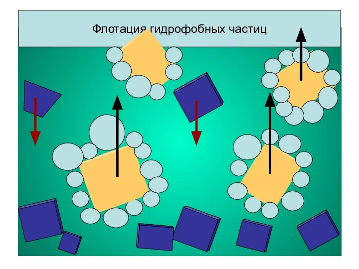 Флотация гидрофобных частиц Флотация гидрофобных частиц