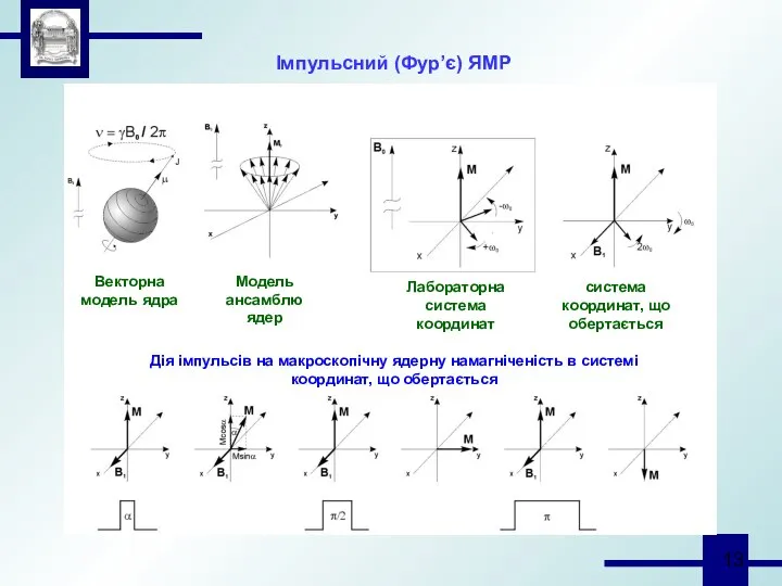 Імпульсний (Фур’є) ЯМР Векторна модель ядра Модель ансамблю ядер Лабораторна система