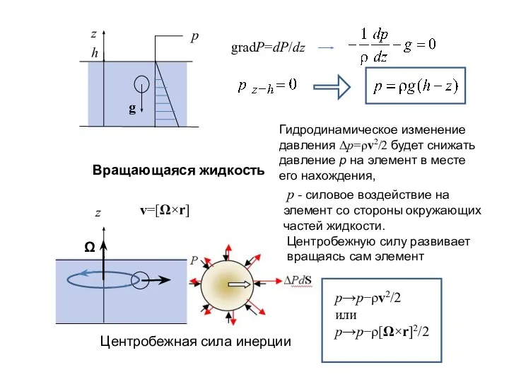 gradP=dP/dz Вращающаяся жидкость z Центробежная сила инерции v=[Ω×r] Гидродинамическое изменение давления