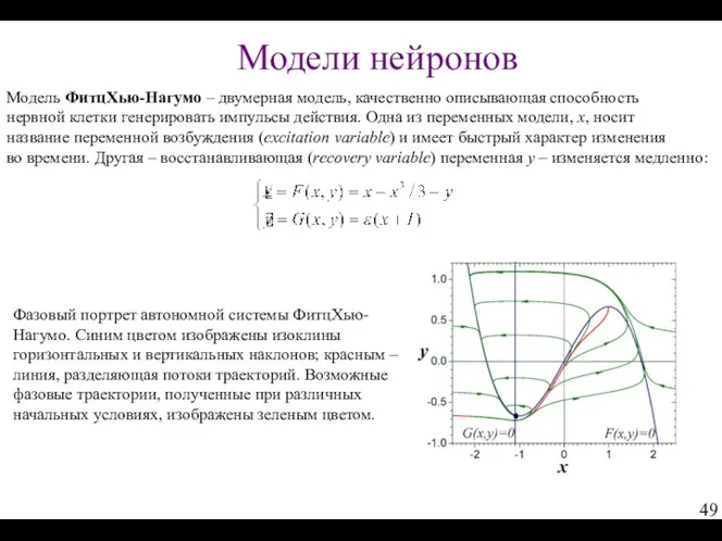 Модели нейронов Модель ФитцХью-Нагумо – двумерная модель, качественно описывающая способность нервной