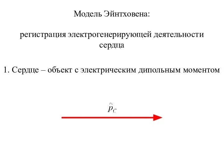 Модель Эйнтховена: регистрация электрогенерирующей деятельности сердца 1. Сердце – объект с электрическим дипольным моментом