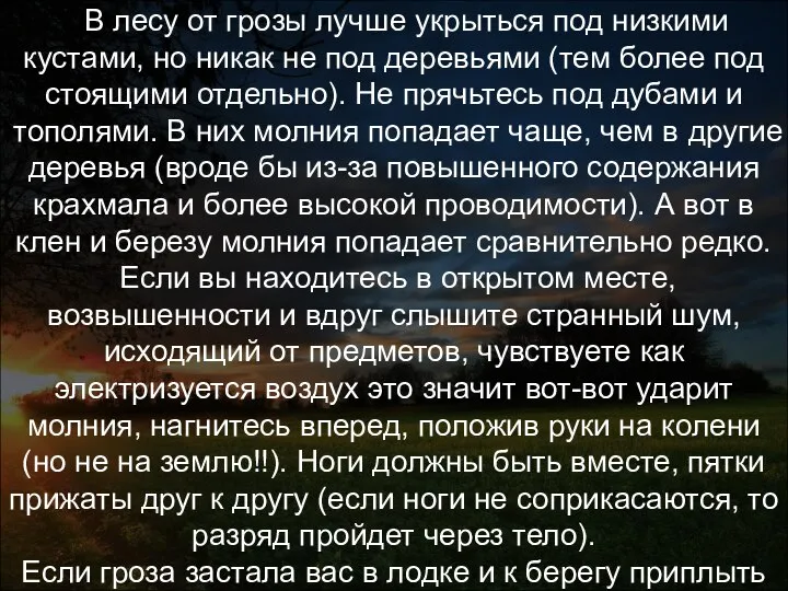 В лесу и на открытом пространстве В лесу от грозы лучше