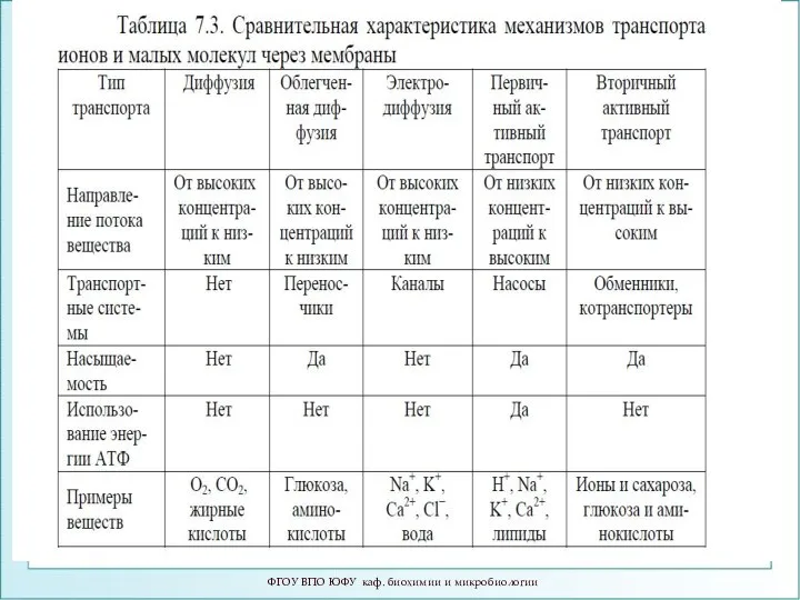 ФГОУ ВПО ЮФУ каф. биохимии и микробиологии