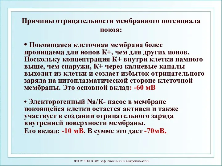 ФГОУ ВПО ЮФУ каф. биохимии и микробиологии Причины отрицательности мембранного потенциала