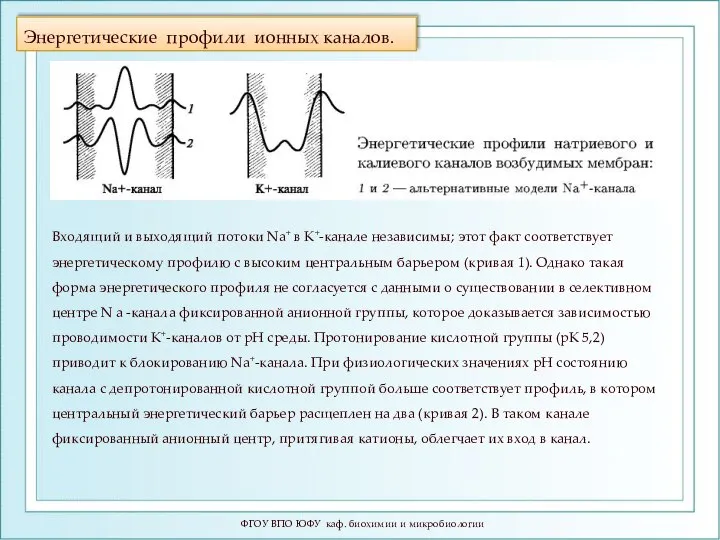 Энергетические профили ионных каналов. ФГОУ ВПО ЮФУ каф. биохимии и микробиологии