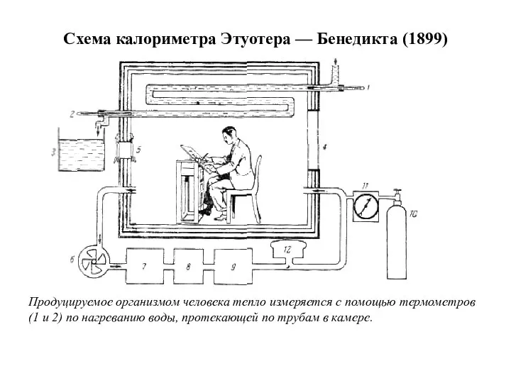Схема калориметра Этуотера — Бенедикта (1899) Продуцируемое организмом человека тепло измеряется