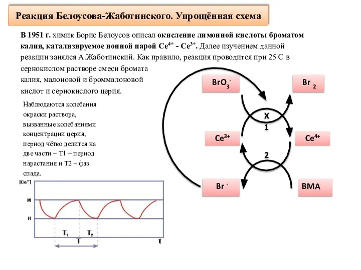 Реакция Белоусова-Жаботинского. Упрощённая схема