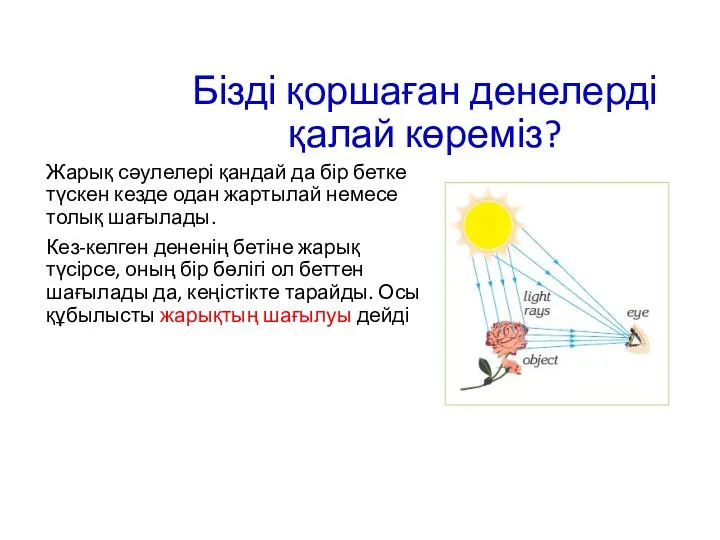 Бізді қоршаған денелерді қалай көреміз? Жарық сәулелері қандай да бір бетке