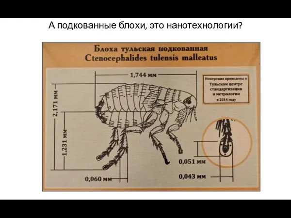 А подкованные блохи, это нанотехнологии?