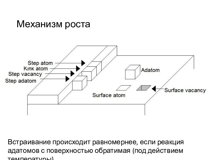 Механизм роста Встраивание происходит равномернее, если реакция адатомов с поверхностью обратимая (под действием температуры)