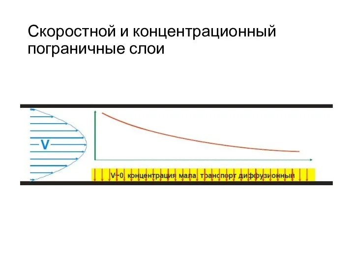 Скоростной и концентрационный пограничные слои