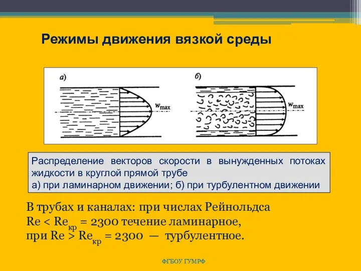 ФГБОУ ГУМРФ Режимы движения вязкой среды Распределение векторов скорости в вынужденных