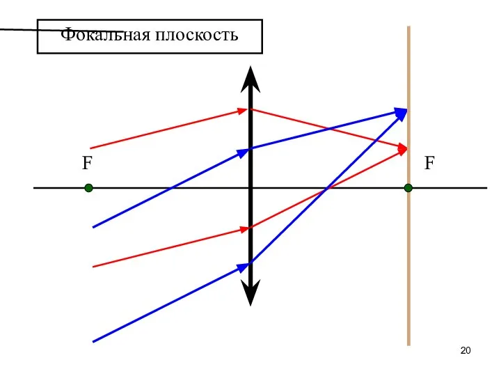 Фокальная плоскость F F