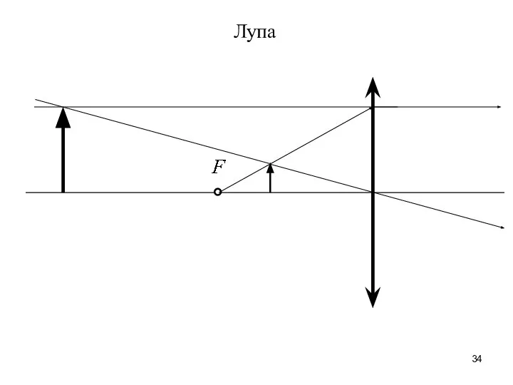 Лупа