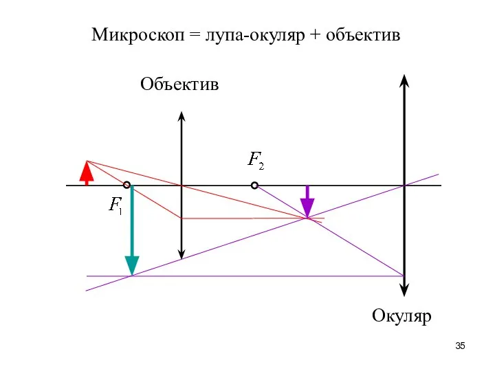 Микроскоп = лупа-окуляр + объектив Объектив Окуляр