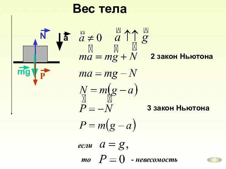 Вес тела