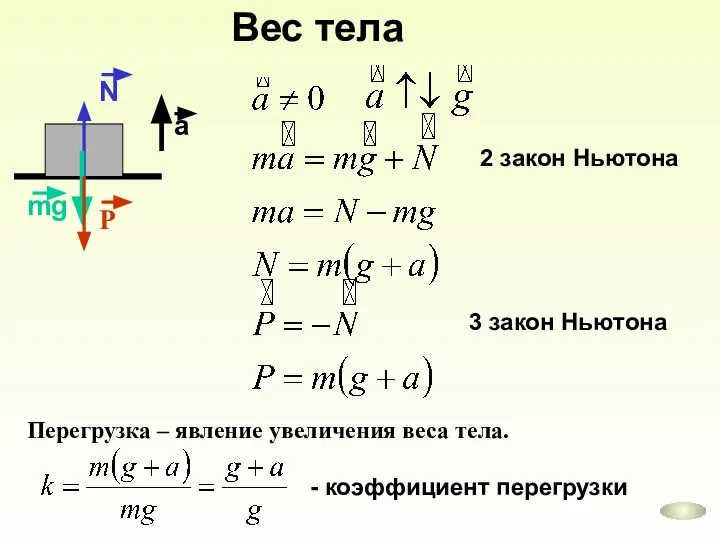 Вес тела Перегрузка – явление увеличения веса тела.