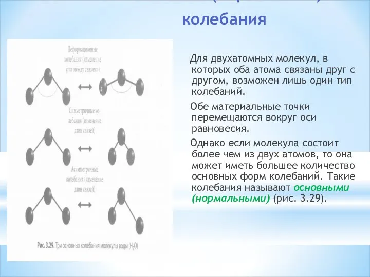 Основные (нормальные) колебания Для двухатомных молекул, в которых оба атома связаны