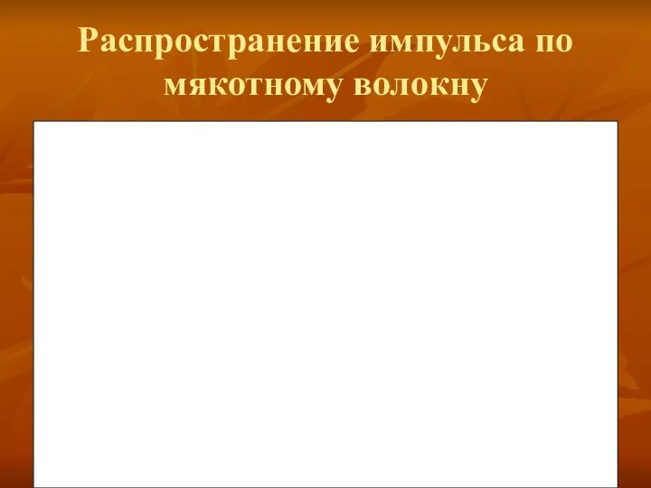 Распространение импульса по мякотному волокну