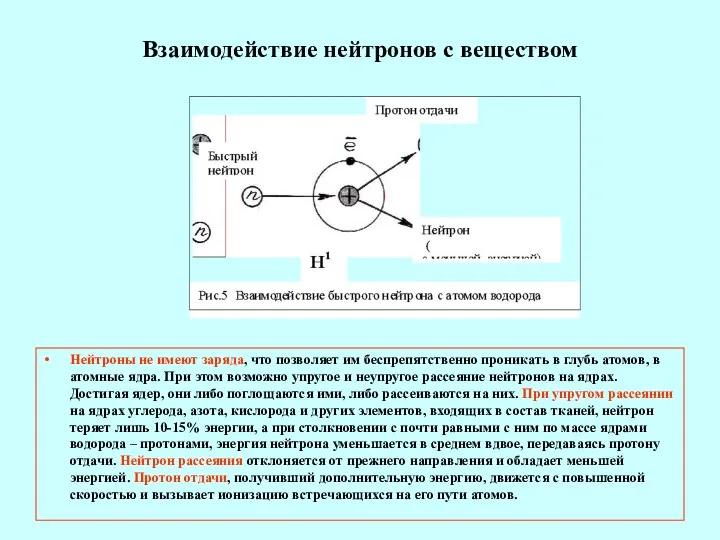 Взаимодействие нейтронов с веществом Нейтроны не имеют заряда, что позволяет им