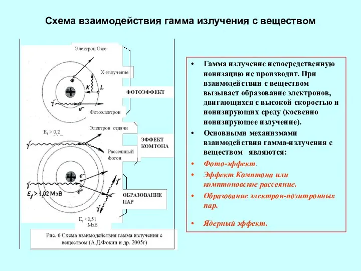 Схема взаимодействия гамма излучения с веществом Гамма излучение непосредственную ионизацию не