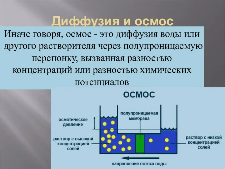 Диффузия и осмос Иначе говоря, осмос - это диффузия воды или