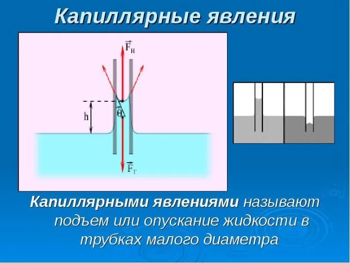 Капиллярные явления