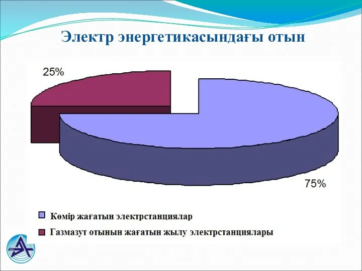 Электр энергетикасындағы отын