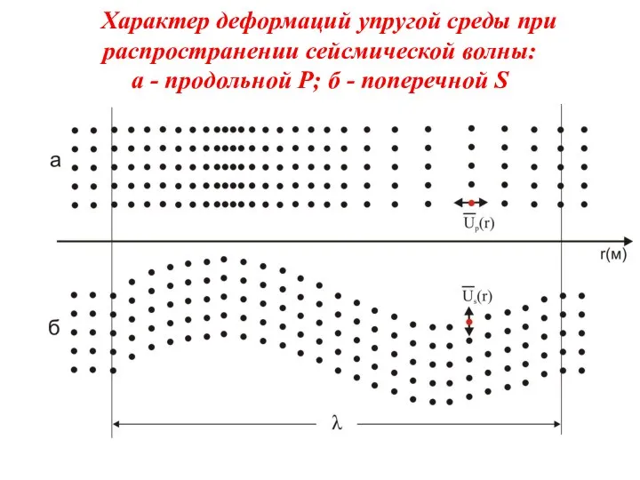 Характер деформаций упругой среды при распространении сейсмической волны: а - продольной Р; б - поперечной S