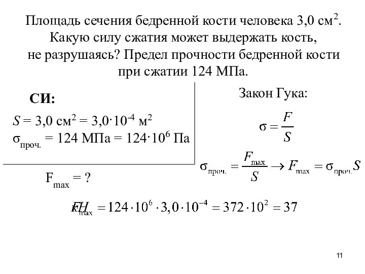 Площадь сечения бедренной кости человека 3,0 см2. Какую силу сжатия может