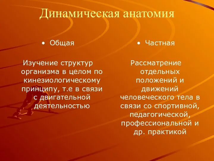 Динамическая анатомия Общая Изучение структур организма в целом по кинезиологическому принципу,