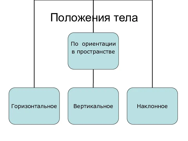 Положения тела