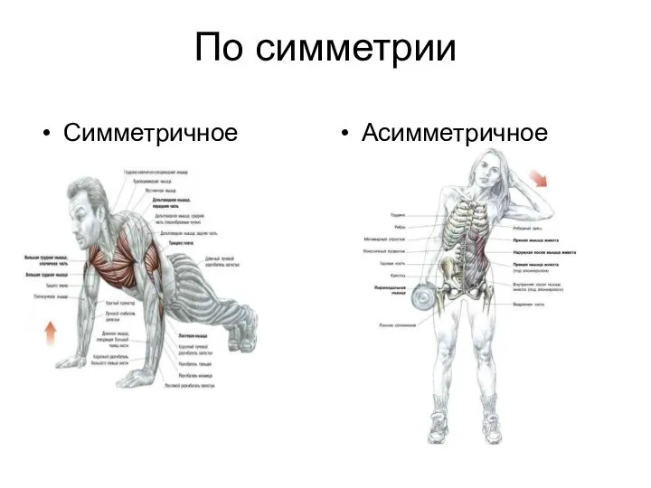 По симметрии Симметричное Асимметричное