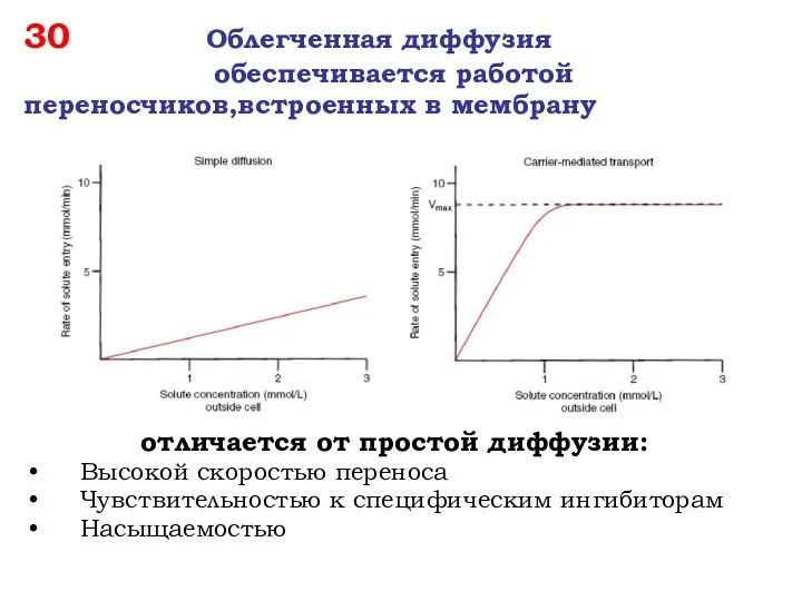 30 Облегченная диффузия обеспечивается работой переносчиков,встроенных в мембрану отличается от простой