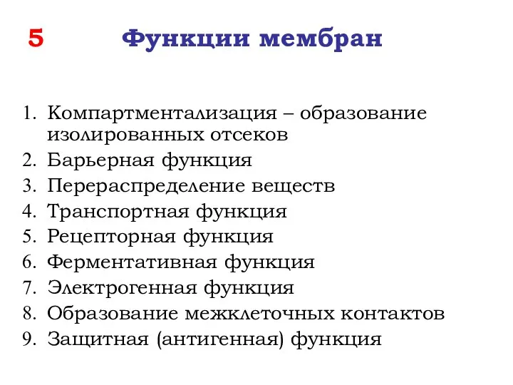 5 Функции мембран Компартментализация – образование изолированных отсеков Барьерная функция Перераспределение